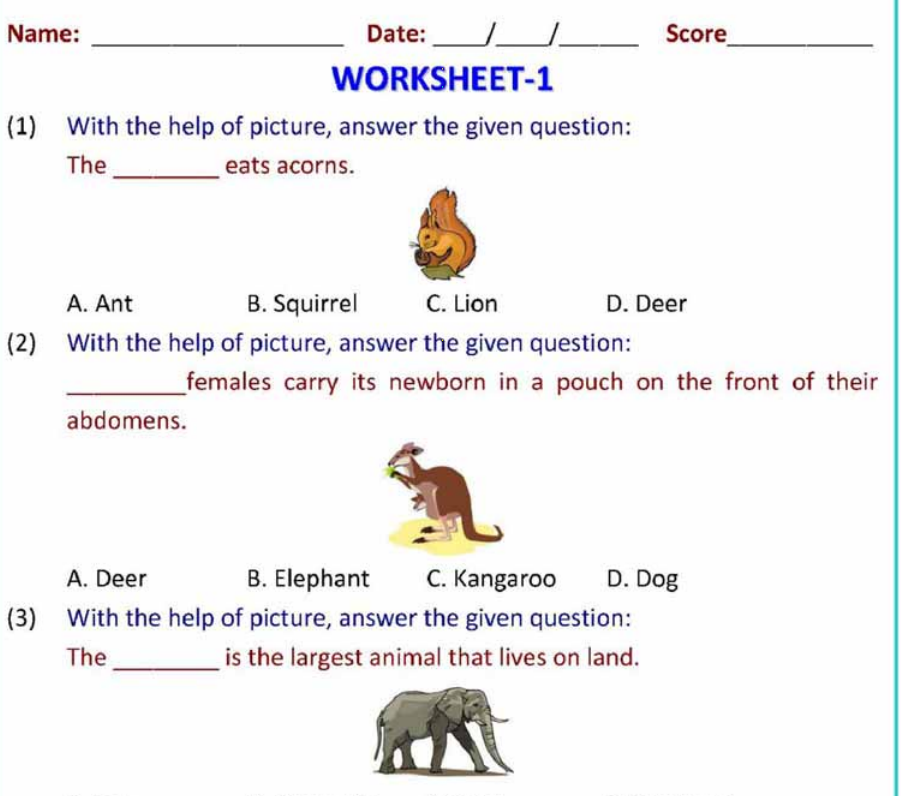 Vocabulary picture worksheet MCQ